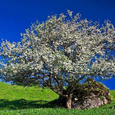 爱体育官方下载手机版