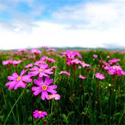 万博manxbet官方截图