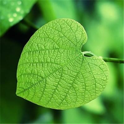 竞赛足球app下载截图